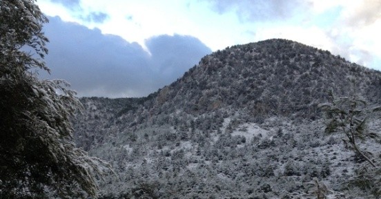 Everest