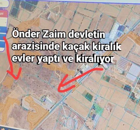 Kaçak villa haricinde kiralık evler de yaptı!